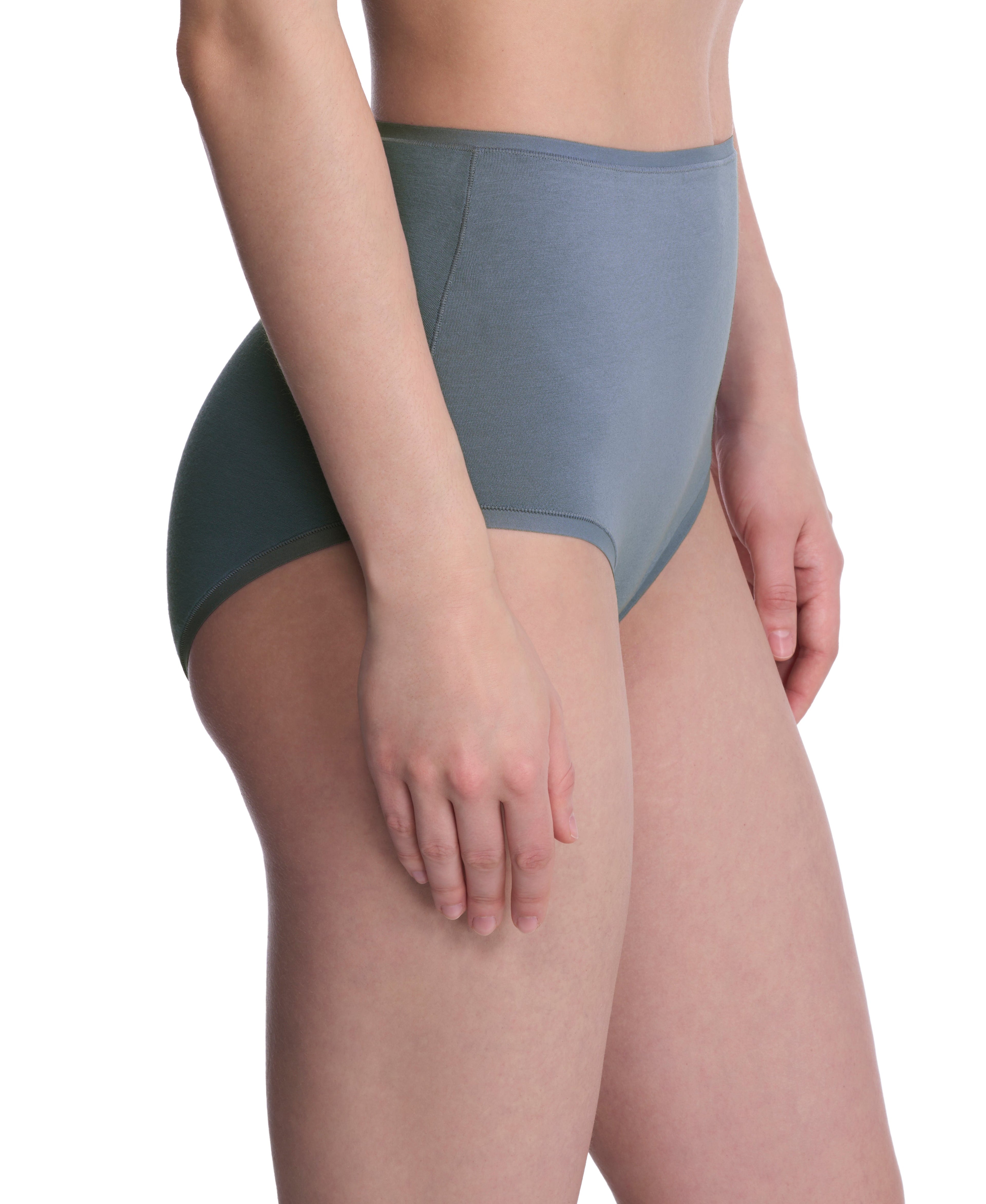 Bliss Bare Cotton High Waist Brief
