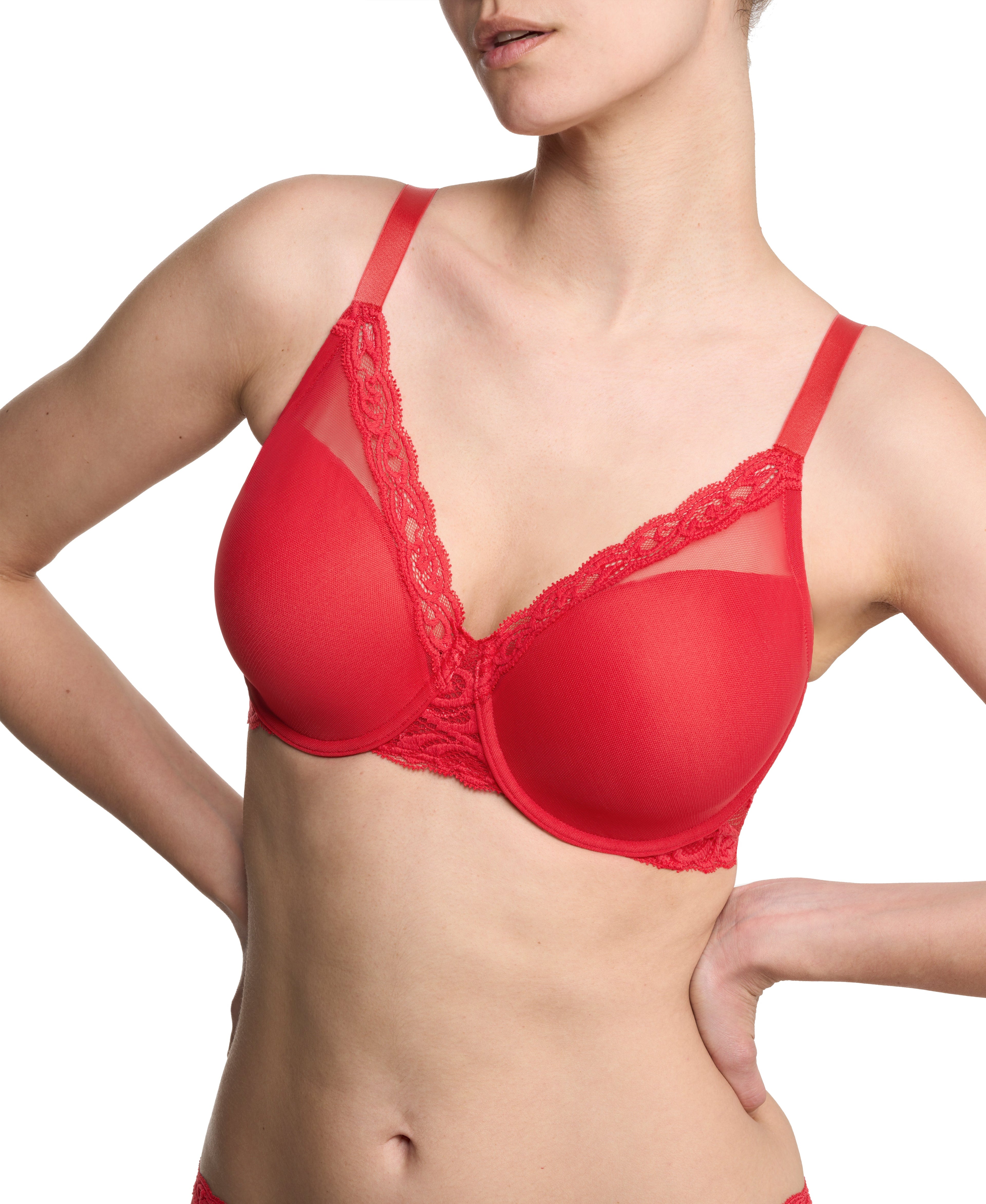 Feathers Lace Full Figure Plunge T-Shirt Bra