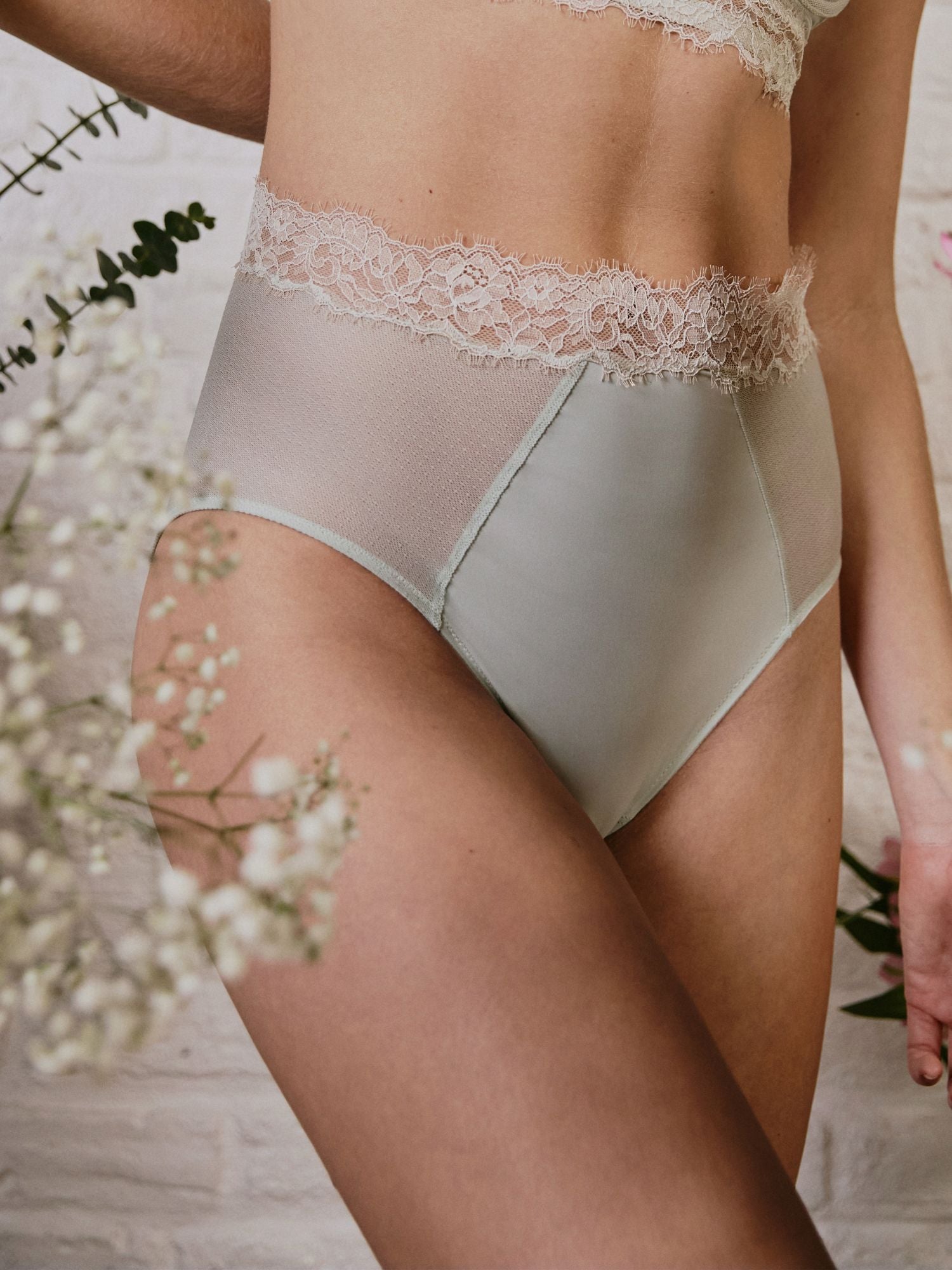 Entice High Waisted Brief