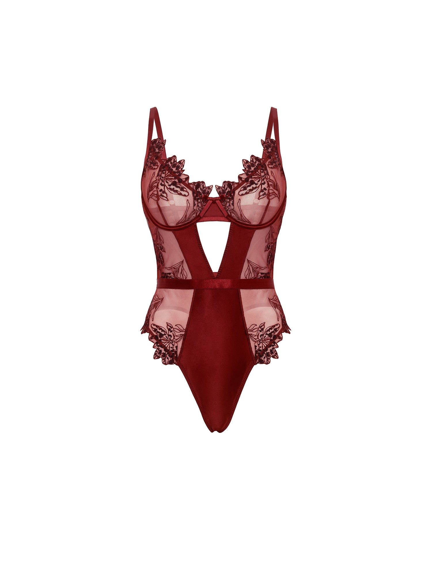 Curvy Nina Sheer Teddy