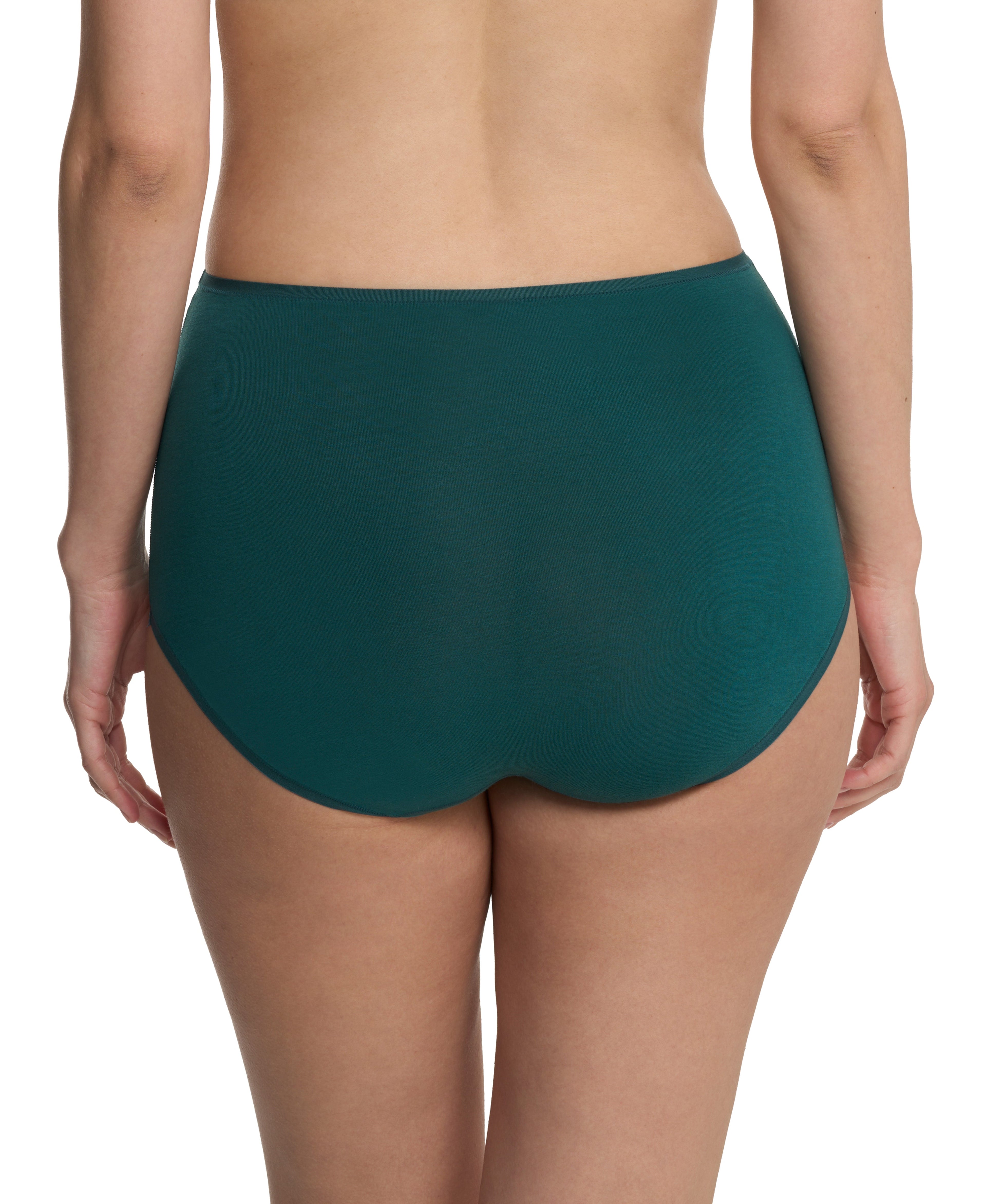 Bliss Bare Cotton High Waist Brief